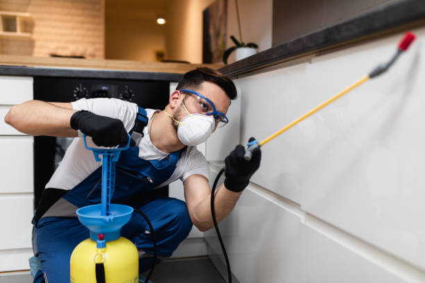 Best Pest Control Near Me in Christopher, IL