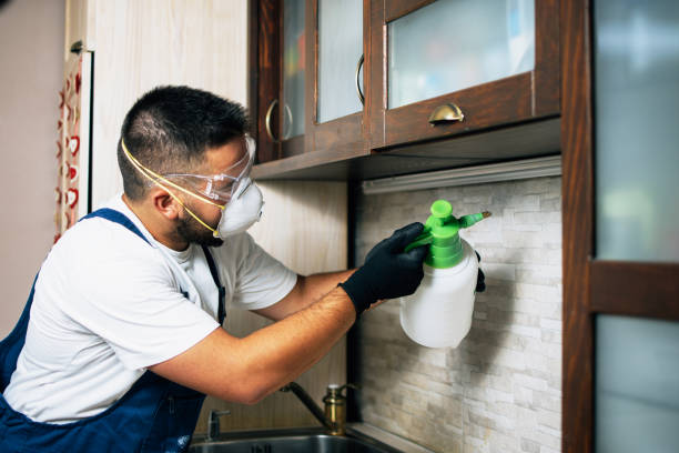 Best Pest Removal Services  in Christopher, IL