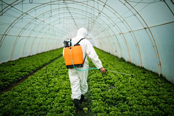 Best Pest Inspection Near Me  in Christopher, IL