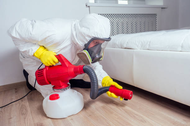 Best Pest Control Near Me in Christopher, IL