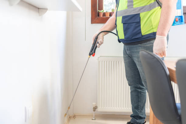 Best Bed Bug Extermination  in Christopher, IL