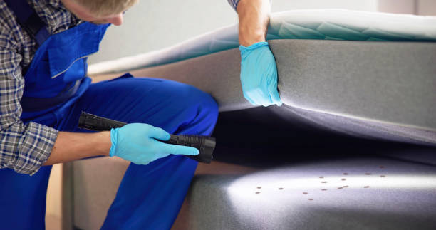 Best Termite Control Services  in Christopher, IL