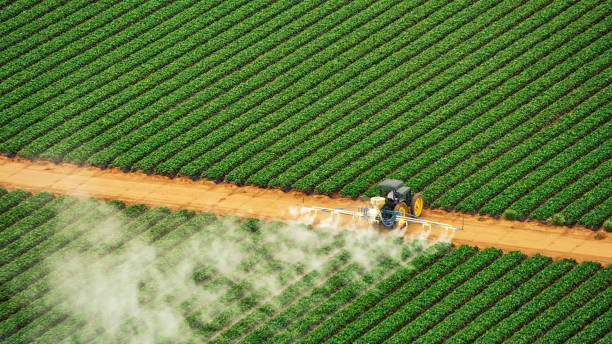 Best Pest Prevention Services  in Christopher, IL